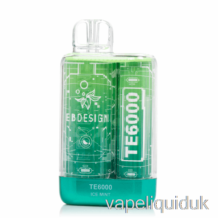 EB TE6000 Disposable Ice Mint Vape Juice